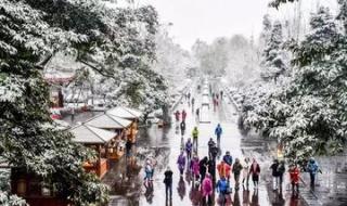 2021年成都第一场雪来了 2021年成都第一场雪来了