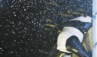 2021年成都第一场雪来了 2021年成都第一场雪来了