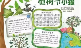 植树节手抄报内容大全