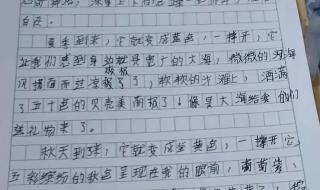 奇妙的想象300字作文 奇妙的想象300字作文