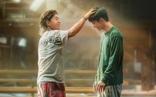 孤注一掷票房为什么猛 《孤注一掷》票房破19亿